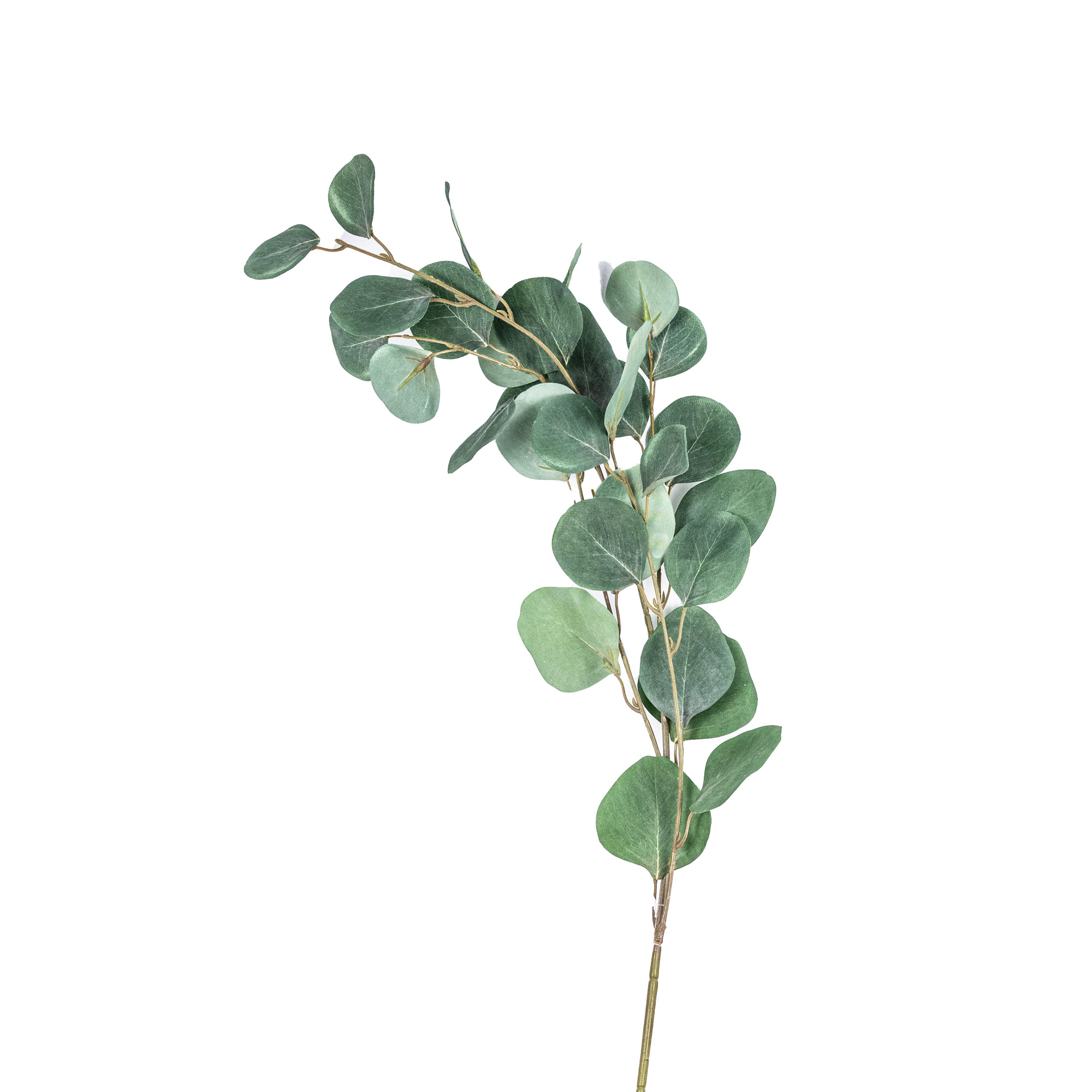 Artificial Eucalyptus apple leaves